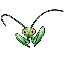 Mantis